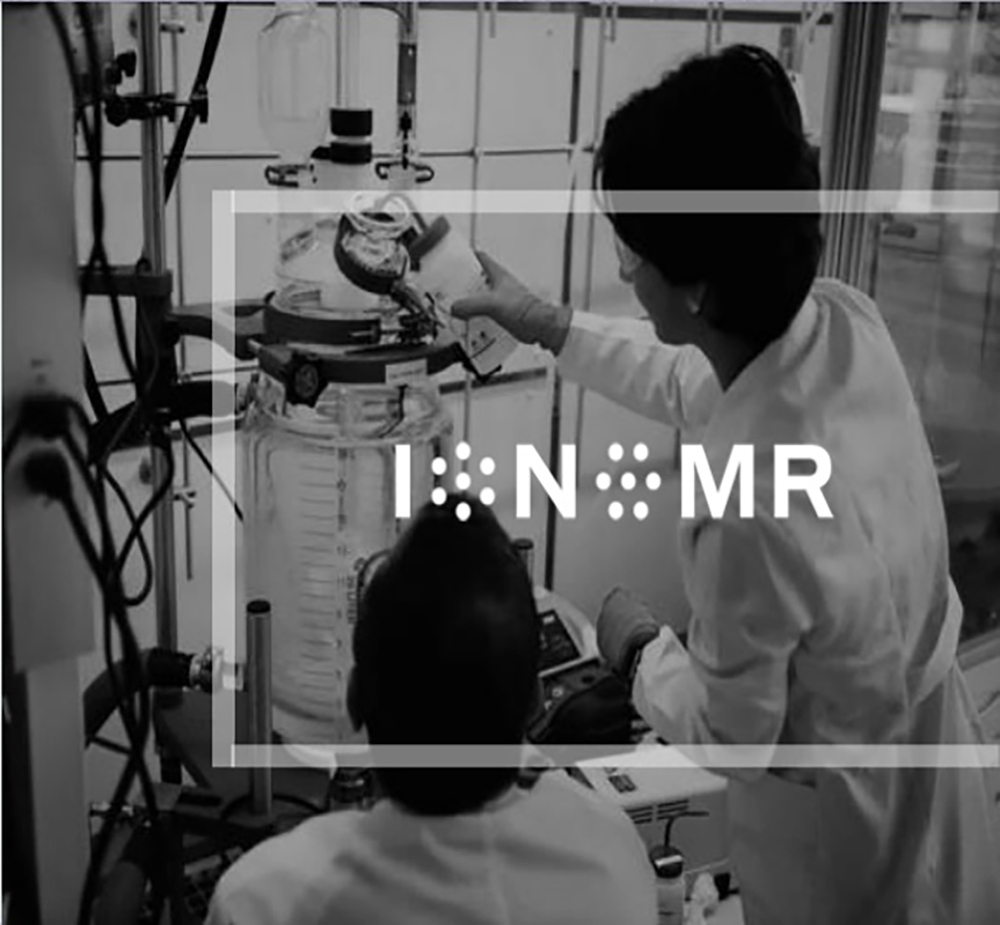 Ionomr3